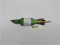 藏品(五色鳥)的圖片